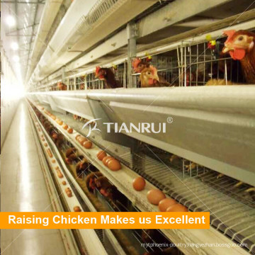 Factory direct sale high quality automatic large scale poultry farm layer cages